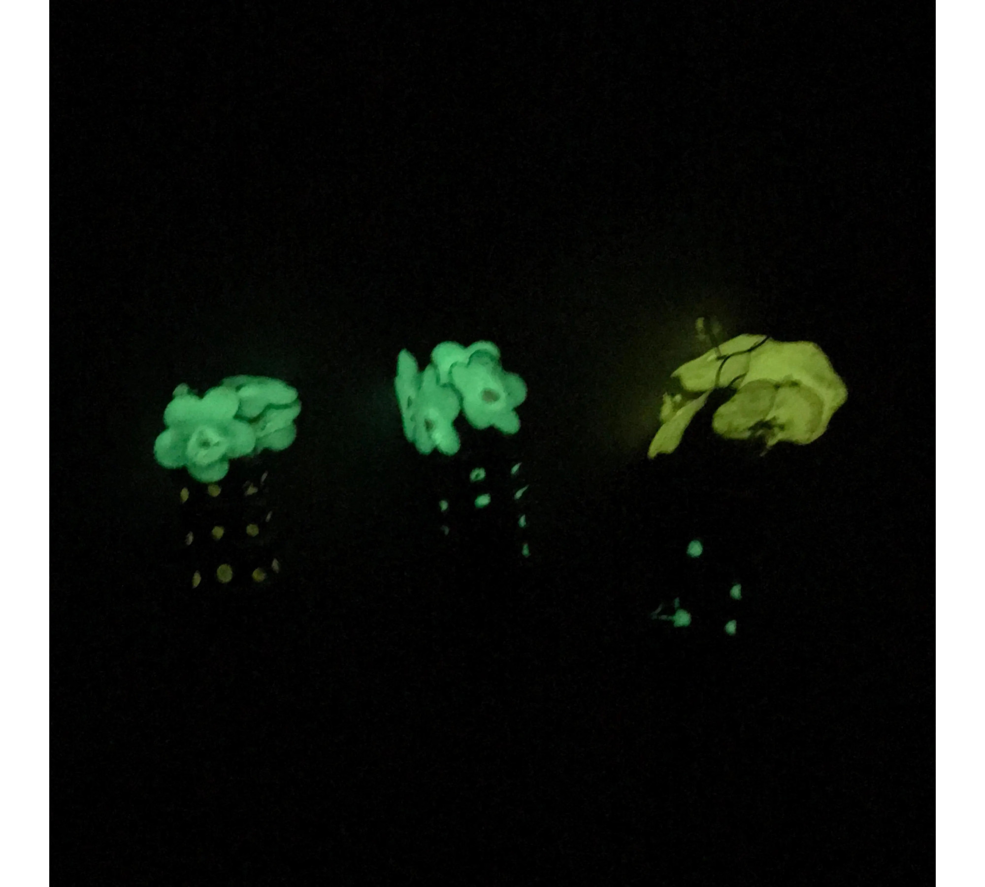 Pick Your Own: Ultra-Rare 1930s Soviet Glass Vases (Luminescent Paint) #2005